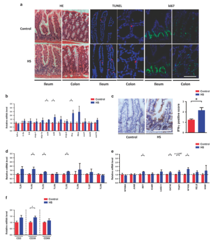 圖3 亞洲棉的地理分布
