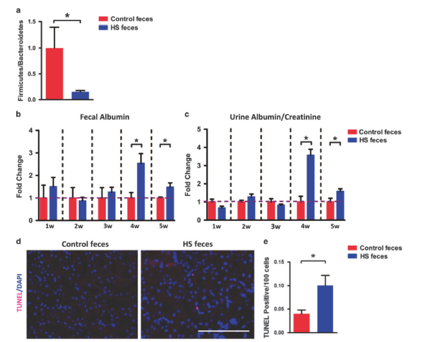 圖7 a. 亞洲棉SC，YZR和YER的選擇性清除分析；b. 全基因組關(guān)聯(lián)分析