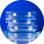 性?xún)r(jià)比高