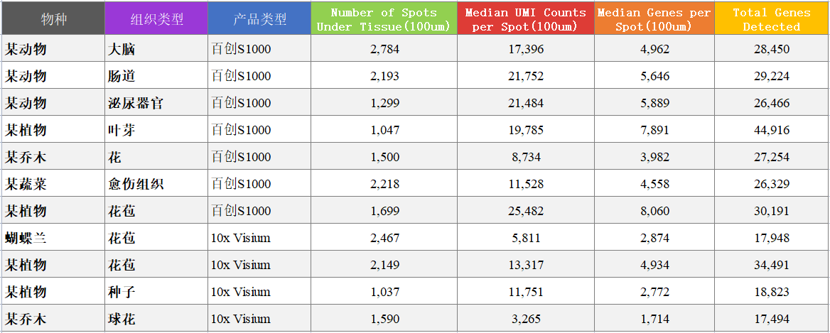 百邁客空間轉錄組數(shù)據(jù)質量優(yōu)異