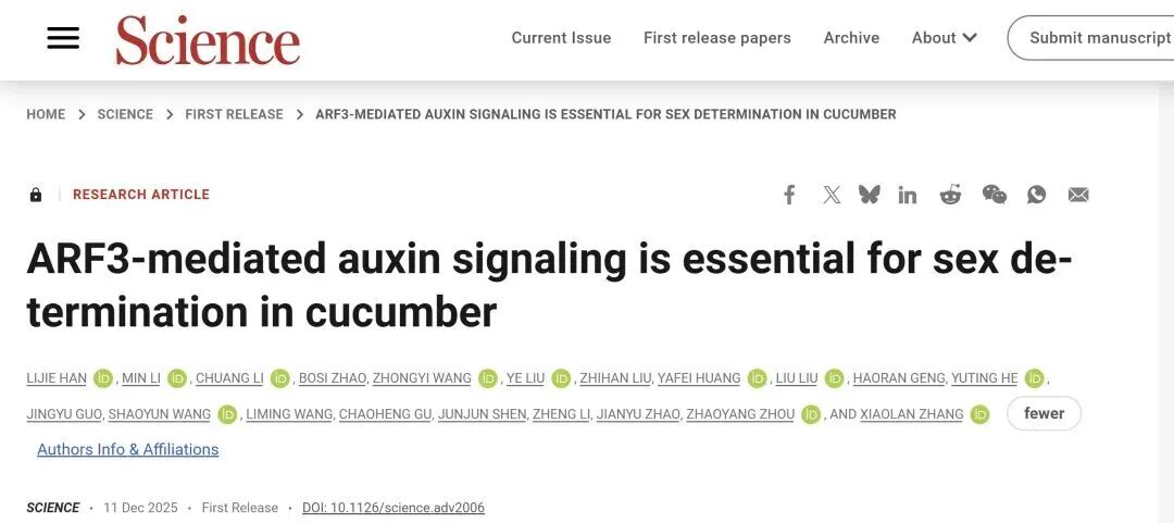 《Science》ARF3介導(dǎo)的生長素信號(hào)對黃瓜性別決定至關(guān)重要